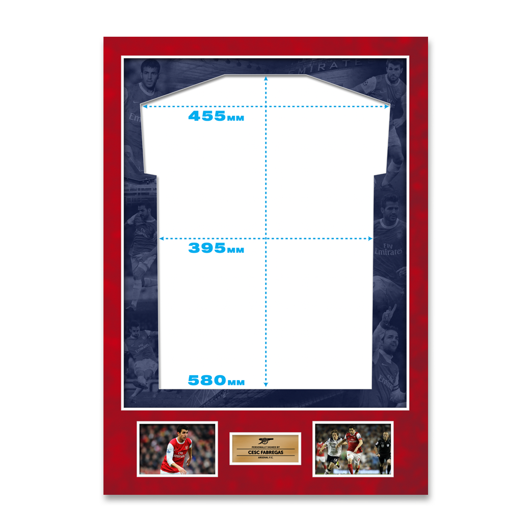 A1 'Classic' style shirt mount